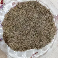 زیره کوهی