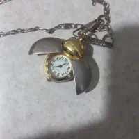ساعت جیبی