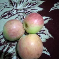 سیب گلاب