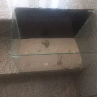 آکواریوم