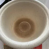 پلوپز ارام پز اگرین