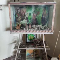 آکواریوم با پایه