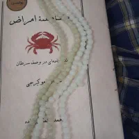 تسبیح گوهر شب چراغ