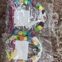 تاب پرندگان از عروس هلندی تا طوطی های بزرگتر