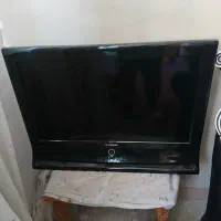 تلوزیون