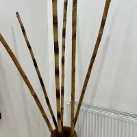 بامبو