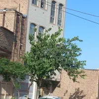 کاشی کاری و سرامیک کاری