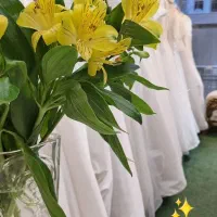 مزون لیاس عروس و محضری