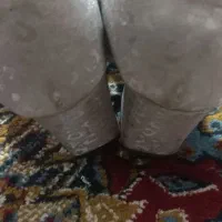 کفش|کیف، کفش، کمربند|زاهدان, |دیوار