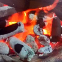 تولید و فروش ویژه زغال فشرده
