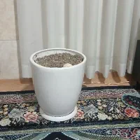 گلدان بزرگ