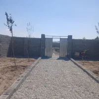 باغ و باغچه/ ۳۰۰ متر