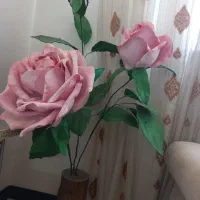 گل کنار سالنی