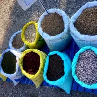 انواع حبوبات لوبیا ماش کنجد