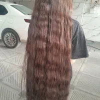 فروش مو(فروش مو وخرید مو)