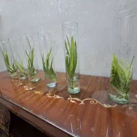 استوانه شیشه ای