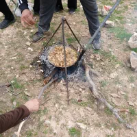 به یک چوپان نیازمندم با حقوق خوب
