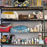 لوازم حیوانات میوداگ(off ویژه به قیمت فاکتور)