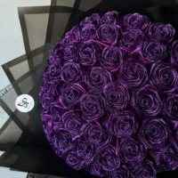 ربان خواستگاری عیادت، سالگرد ازدواج ، هدیه