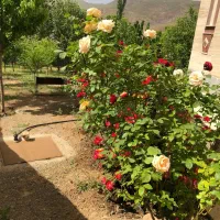 ویلا-جاده-طالقان-روستای-اقچری