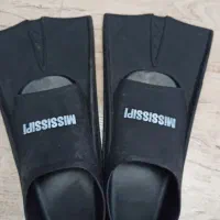 فین شنا