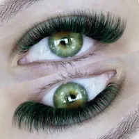 استخدام مژه کار تمامی لاین ها زیبایی با مشتری