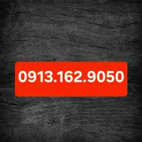 09131629050