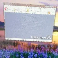 حسابدار آشنا به نرم افزار پایا و باسکول