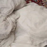 پشه بند.