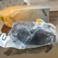 گاگل ایمنی