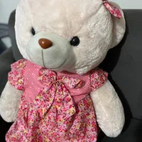 خرس بزرگ شاسخین