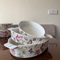 ظروف سرو غذا