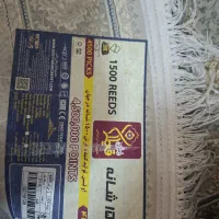۱عددقالی ۱۲ متری  ۱۵۰۰ شانه