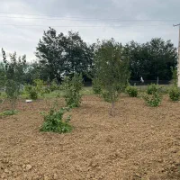 فروش-زمین-وباغ