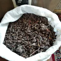 کشمش|خوردنی و آشامیدنی|قم, بنیاد|دیوار