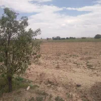 با ۲۵۰میلیون واسه خودت باغ بساز/۵۰۰متر زمین سنددار