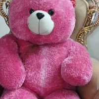 عروسک|اسباببازی بچه|اصفهان, برازنده|دیوار