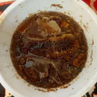 عسل طبیعی اصل کوه شوروم منطقه ذیلایی شوروم