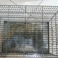 قفس سهره قناری و...
