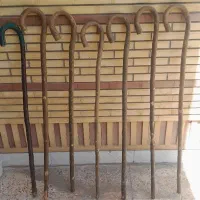 چوب تاووی