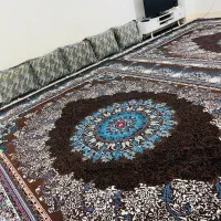فرش|فرش|خورموج, |دیوار