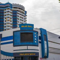 نیروی کار خدمات