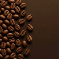 پخش دان قهوه