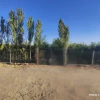 1200-متر-باغ-میوه