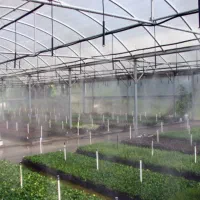 سیستم مه پاش گلخانه