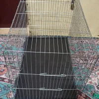 قفس