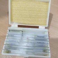 اسلاید میکروسکوپی حشرات