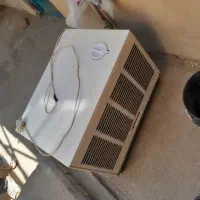 کولرابی