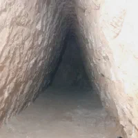 چاکن حرفه‌ای