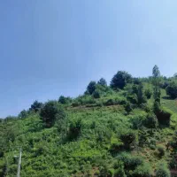 فروش-یک-منزل-مسکونی-در-دیزبن